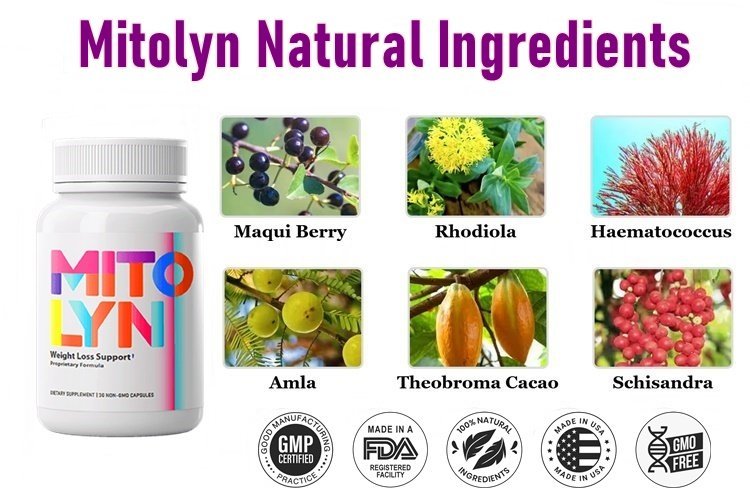 Mitolyn Ingredients