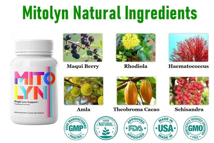 Mitolyn Ingredients